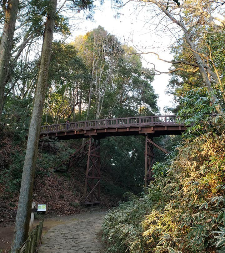 Takiyama Park, Takiyama Castle Remains景点图片