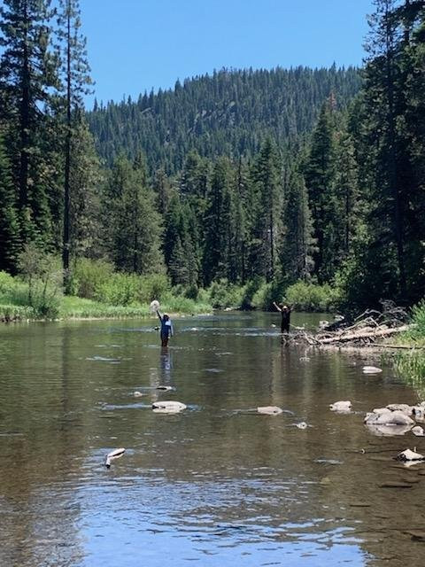 Alder Creek Campground at Tahoe Donner