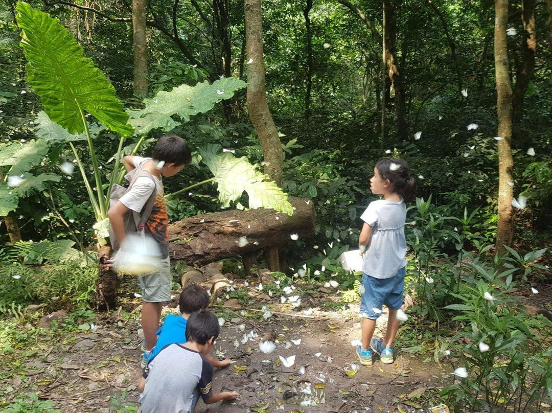 Hoa Lu Tam Coc Original景点图片