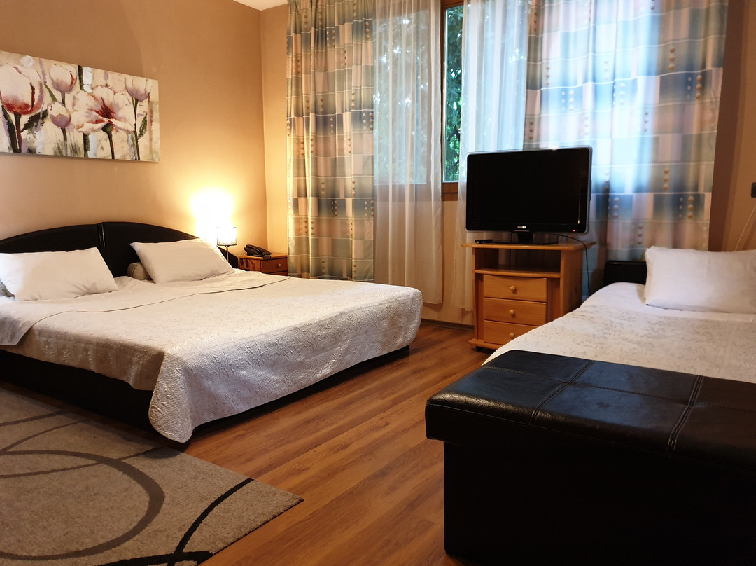 Family Hotel Sonata主图