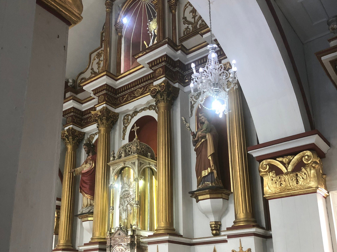 Plaza de Bolivar景点图片