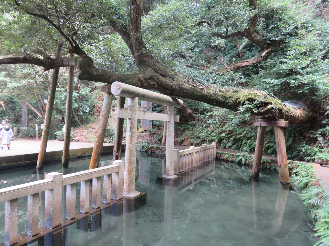 Mitarashi Pond-鹿岛市必去景点
