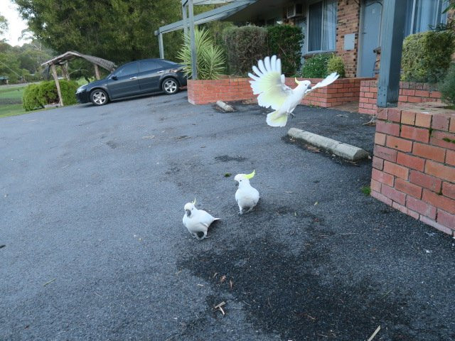 格兰坪汽车旅馆主图