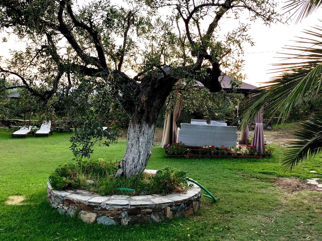 Saint George Hotel主图