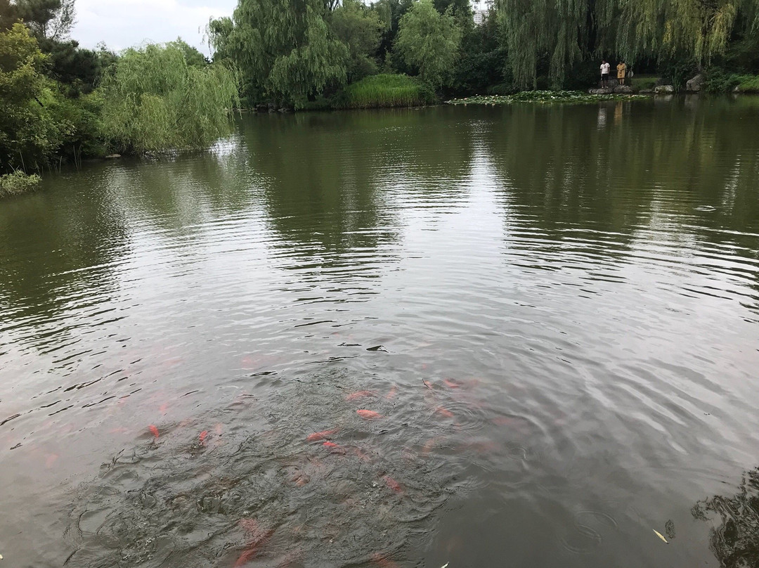 尚阳湖-铁岭市必去景点