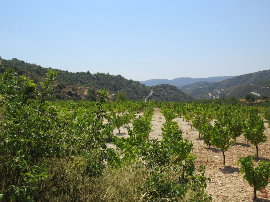 Monagri Grape Farm-Monagri必去景点