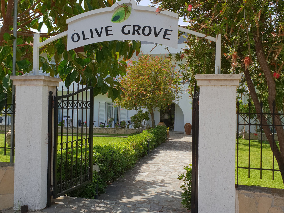 Olive Grove Studios/Apartments主图