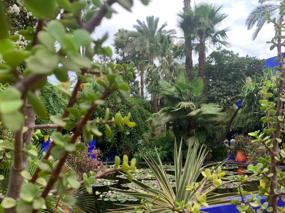 Marruecos a Viaje-马拉喀什必去景点