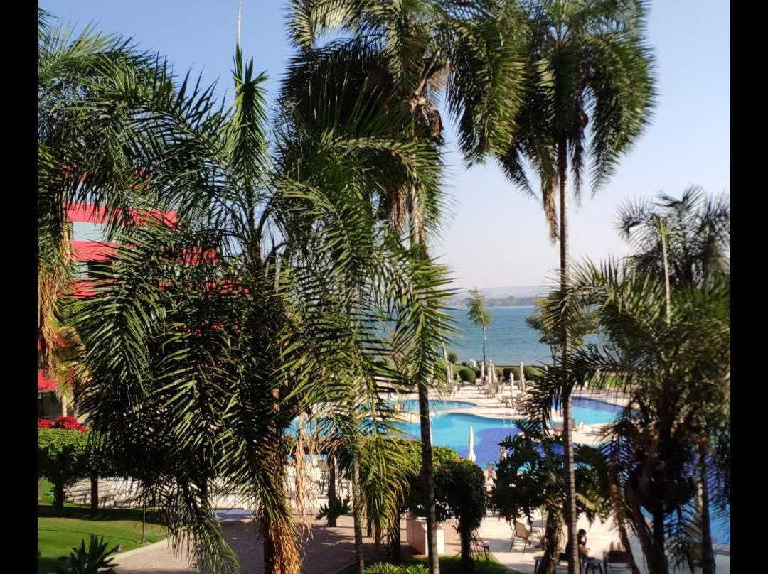 巴西利亚阿沃拉达金色郁金香酒店主图