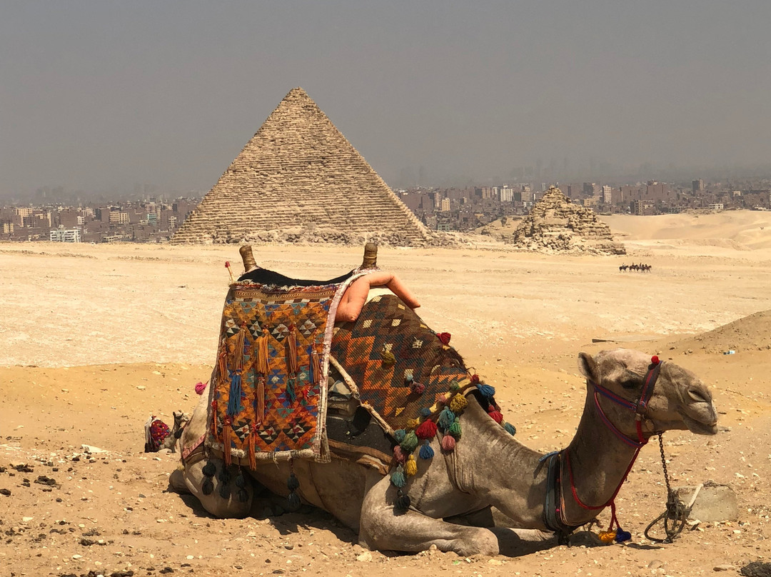 Pretty Egypt Tours-开罗必去景点