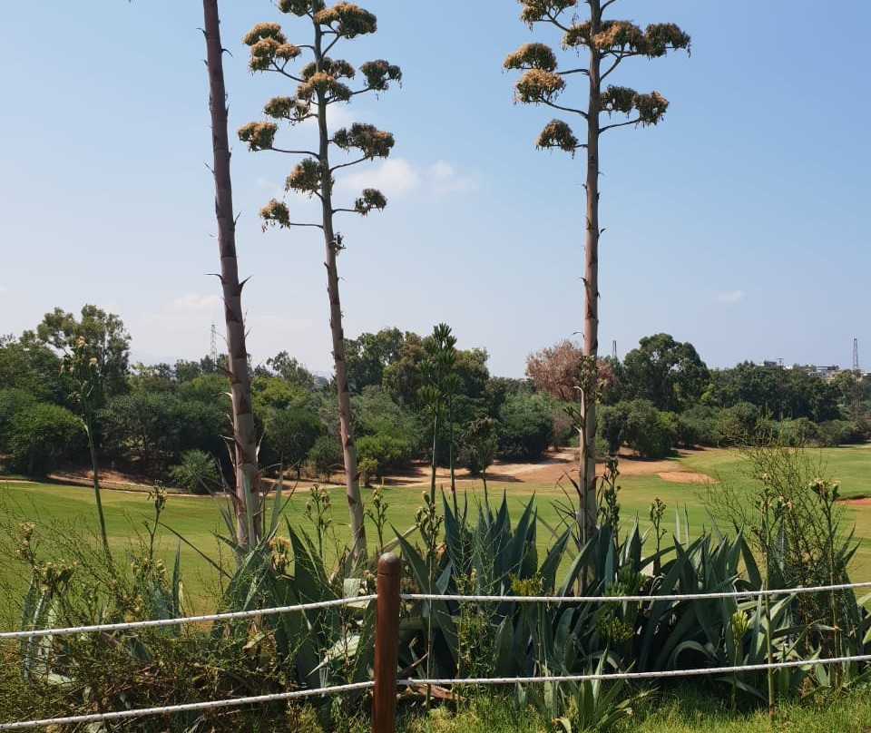 Golf Club of Lebanon-贝鲁特必去景点