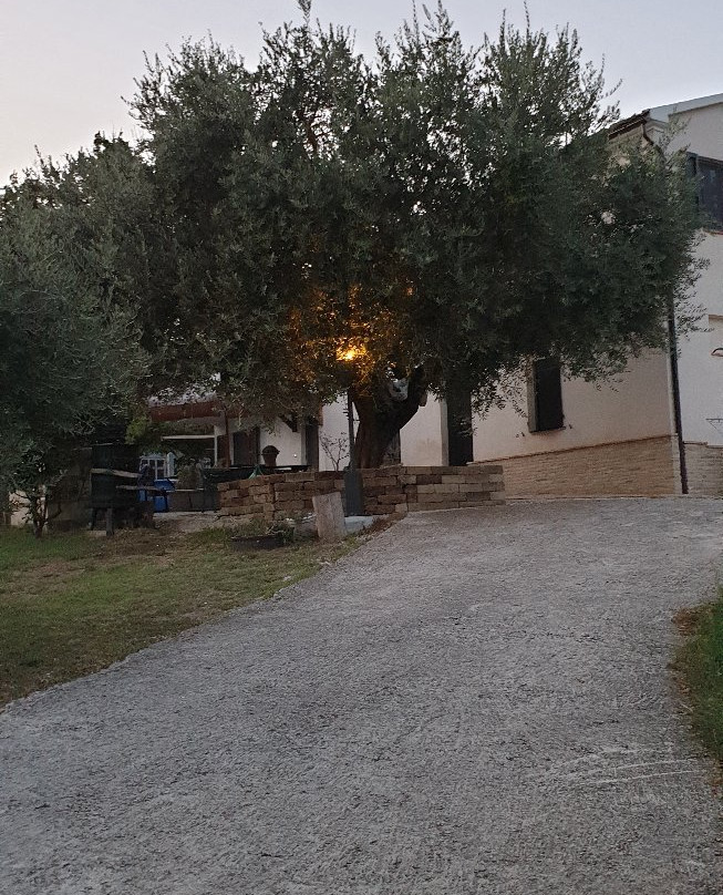 B&b Sotto L'Ulivo主图