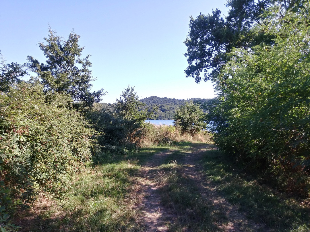 Lago di Mezzano-Valentano必去景点