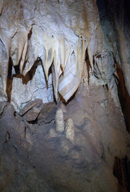 Kostanjevica Cave景点图片