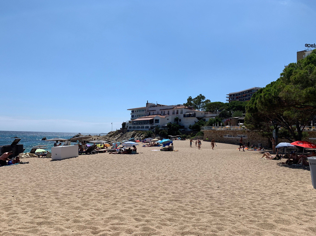Playa Cala Rovira景点图片