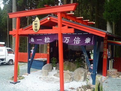 Hogihogi Shrine景点图片