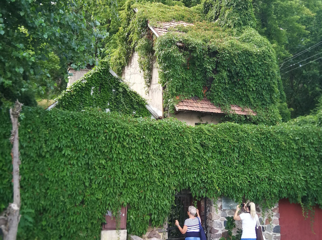 The House of the Syroks-Serock必去景点