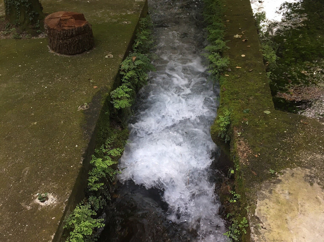 Terme Varroniane-卡西诺必去景点