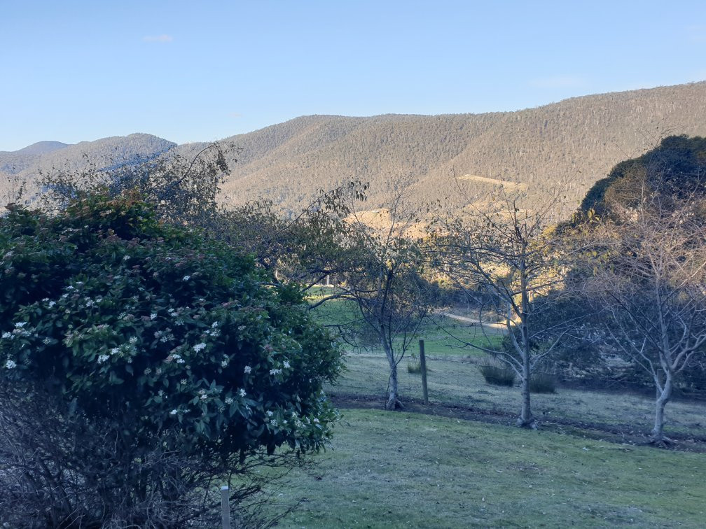 House on the Hill Country Bed and Breakfast主图