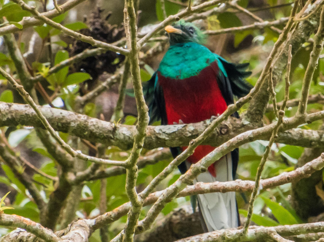 Guides of Monteverde-蒙特沃德必去景点