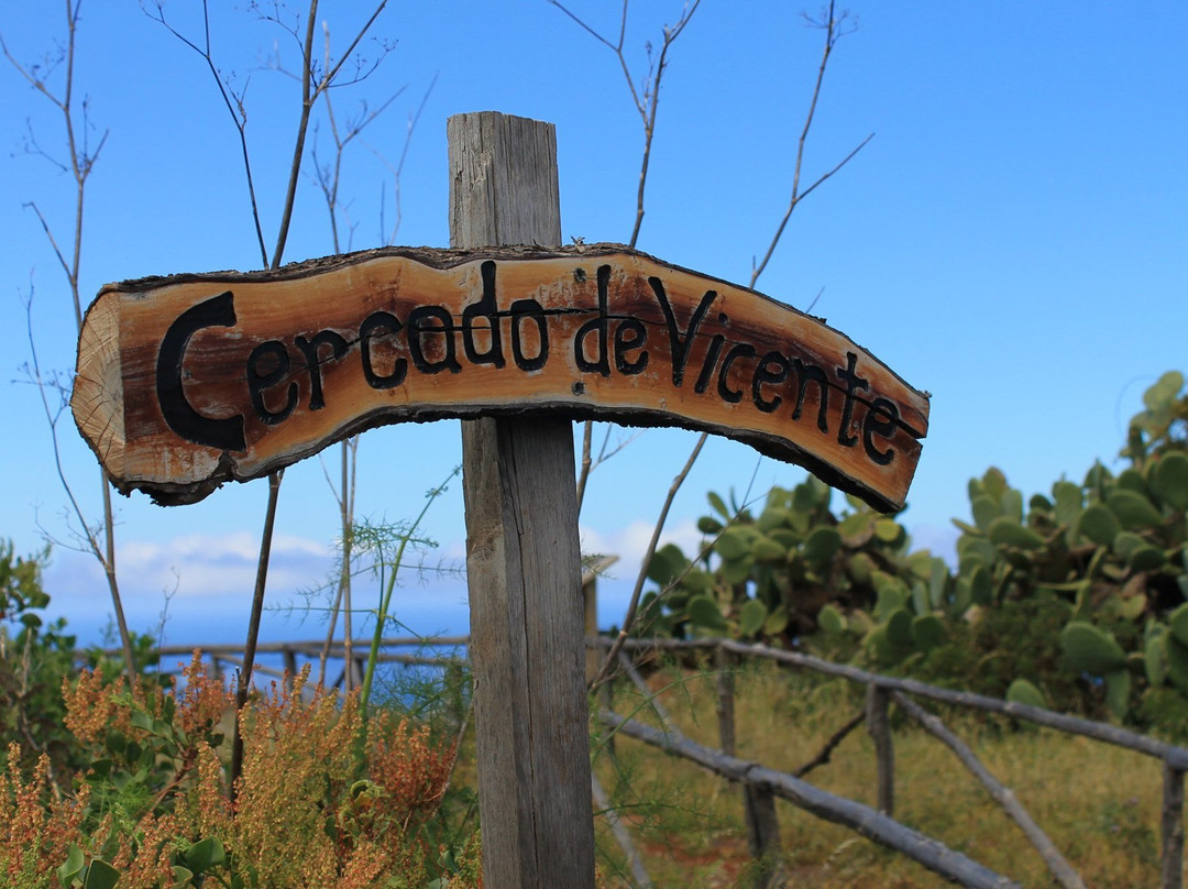 Petroglifos El Cercado de Vicente-Garafia必去景点