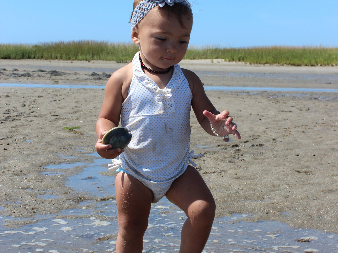 Chatham Boat Tours-查塔姆必去景点