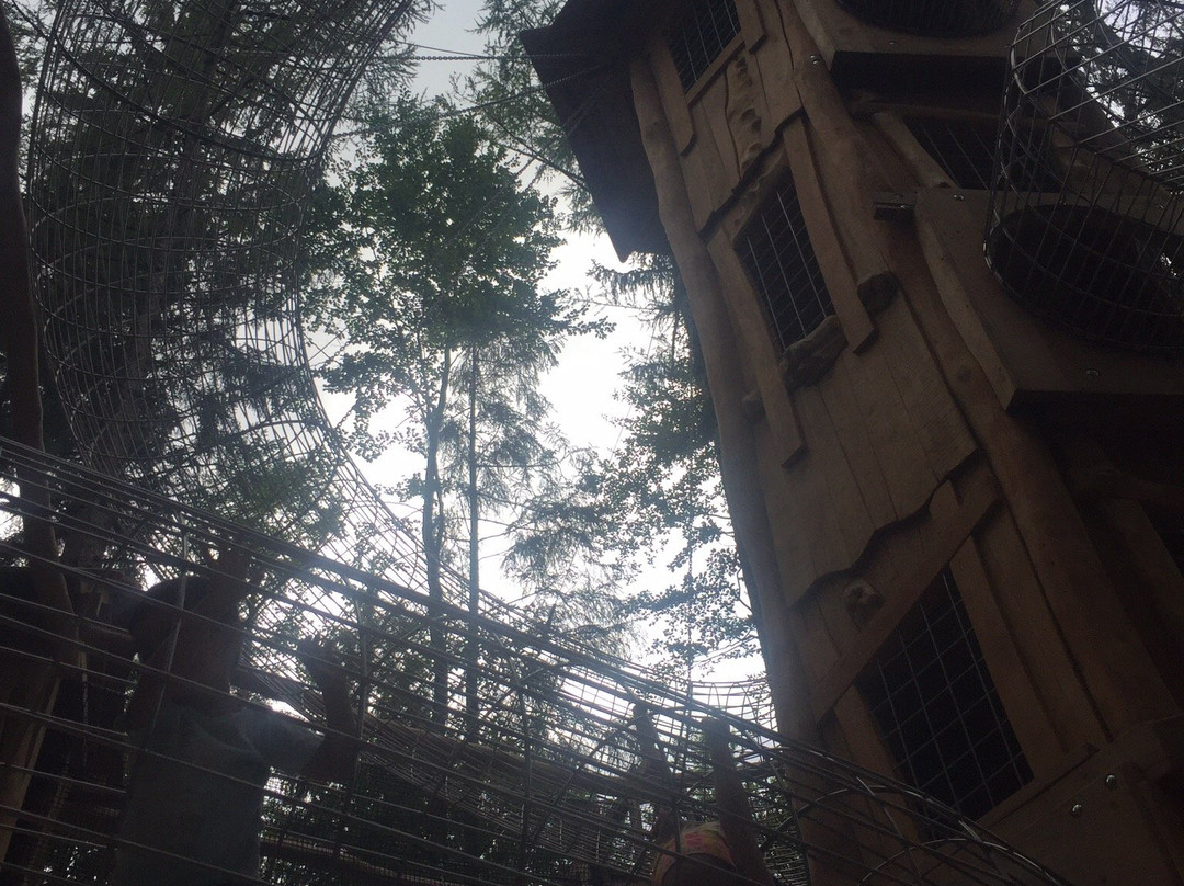 Abenteuerwald Sommerberg景点图片