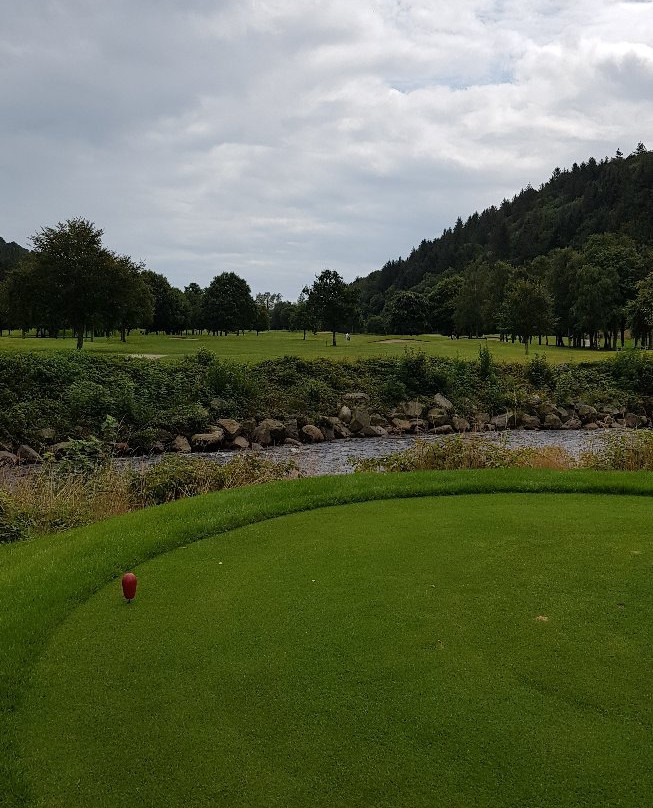 Woodenbridge Golf Club景点图片