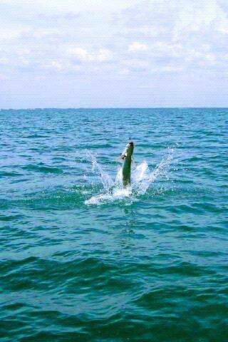 Little Gasparilla Island旅游攻略图片