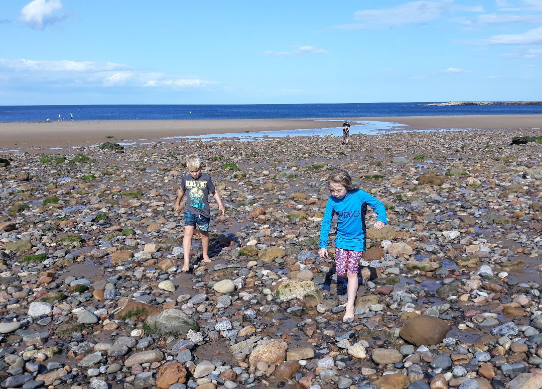 Hidden Horizons-斯卡伯勒必去景点