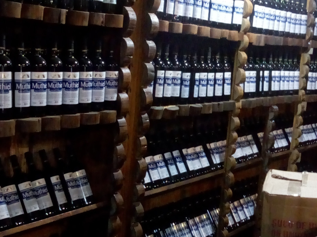 Adega Tradicao da Serra-卡内拉必去景点