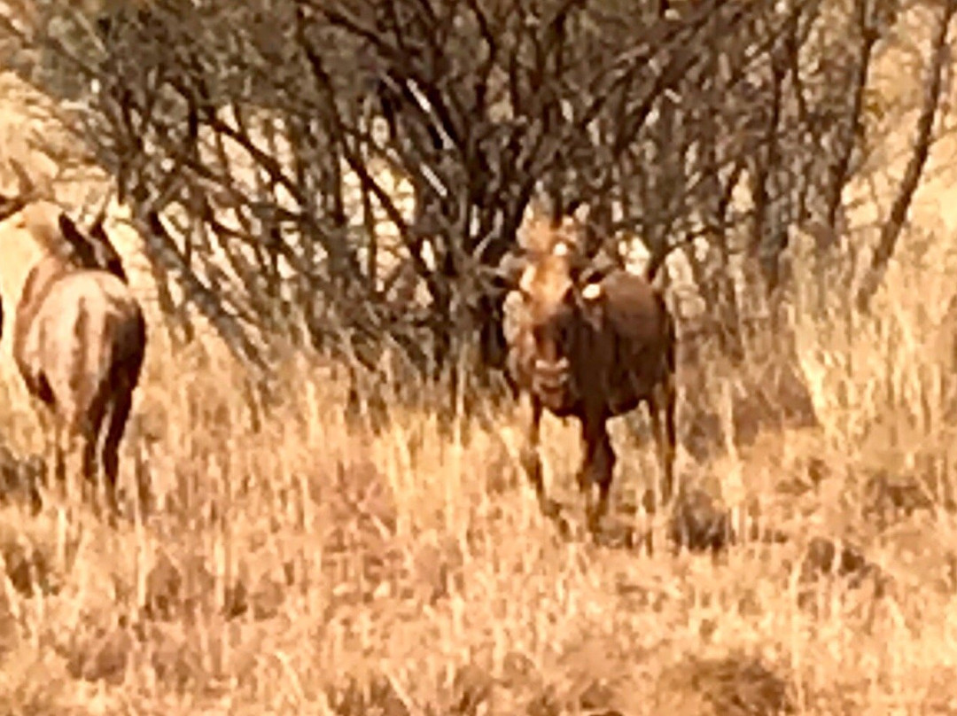 Sable Ranch Hiking Trail-Magaliesburg必去景点