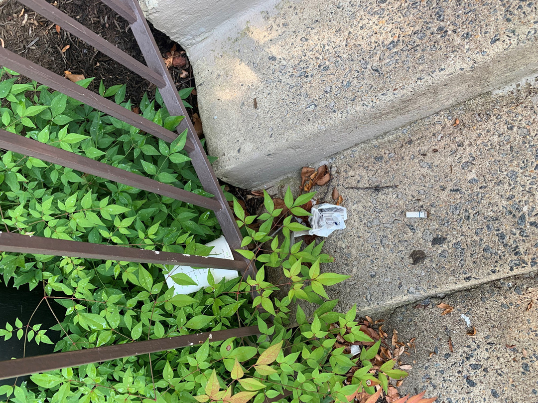 Hometowne Studios By Red Roof Chantilly主图