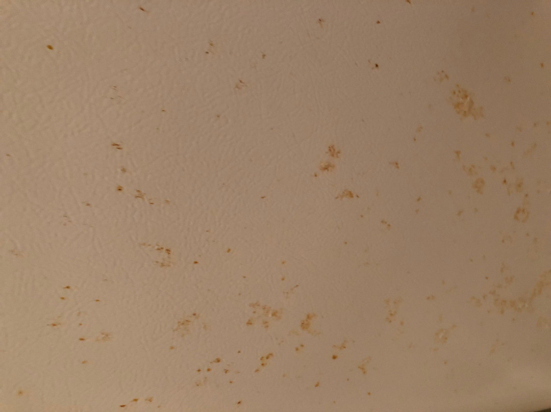 Blue Waters Hotel主图