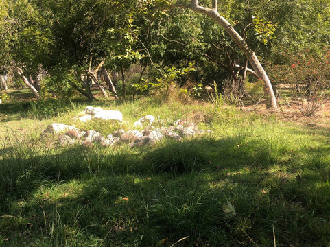 Hopkins Wilderness Park-雷东多海滩必去景点
