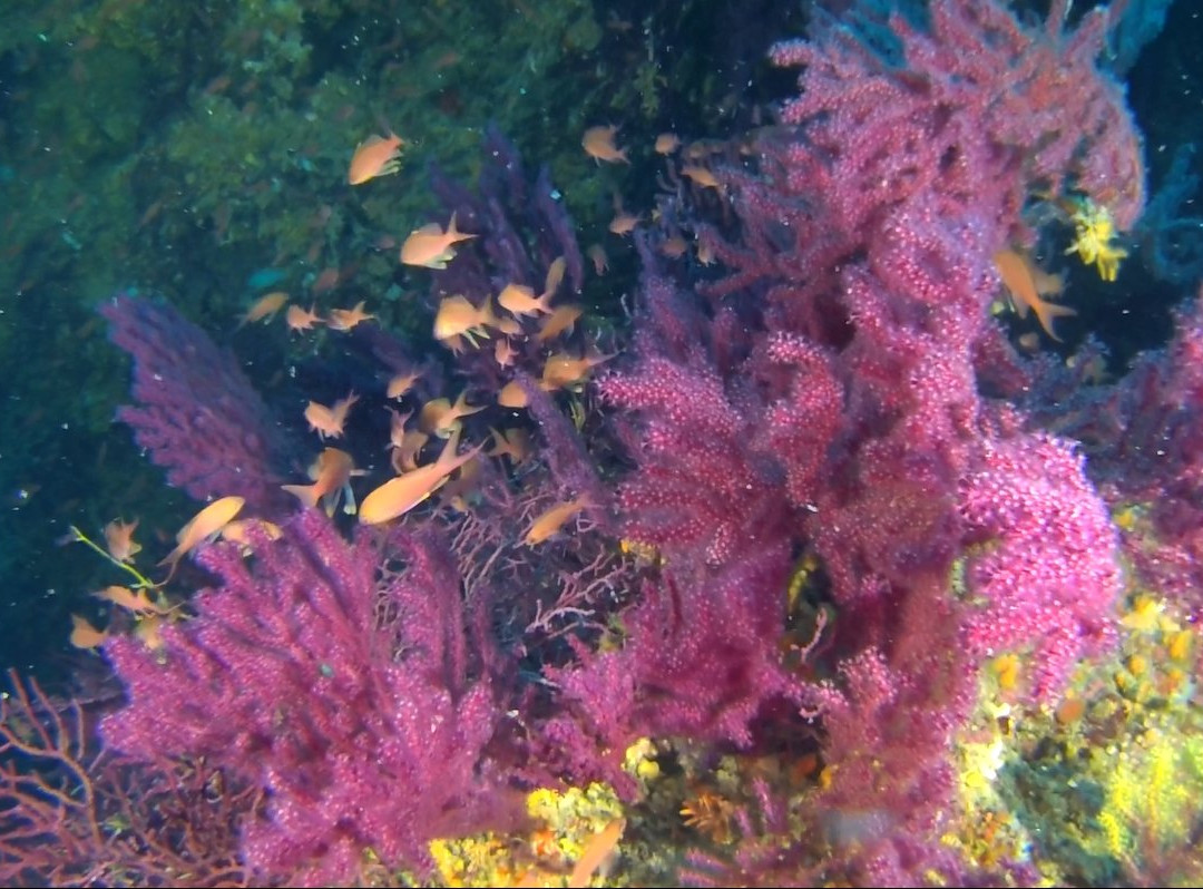 Salento Sailing-Santa Maria di Leuca必去景点