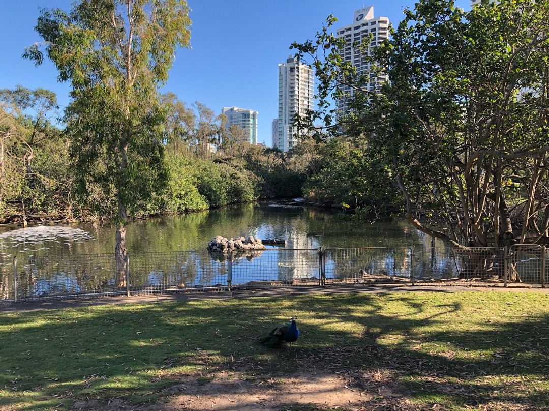 Les Rodgers Memorial Park-冲浪者天堂必去景点