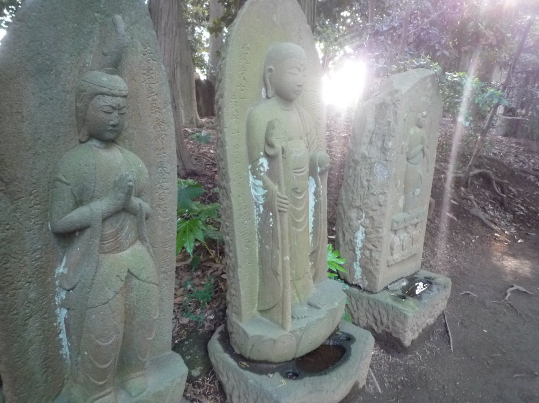 Omiya Shrine-流山市必去景点