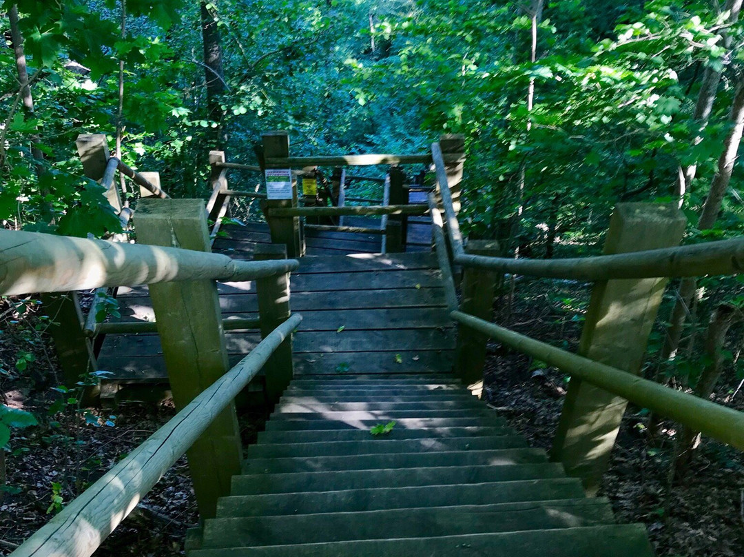 Slitere National Park-Talsi必去景点