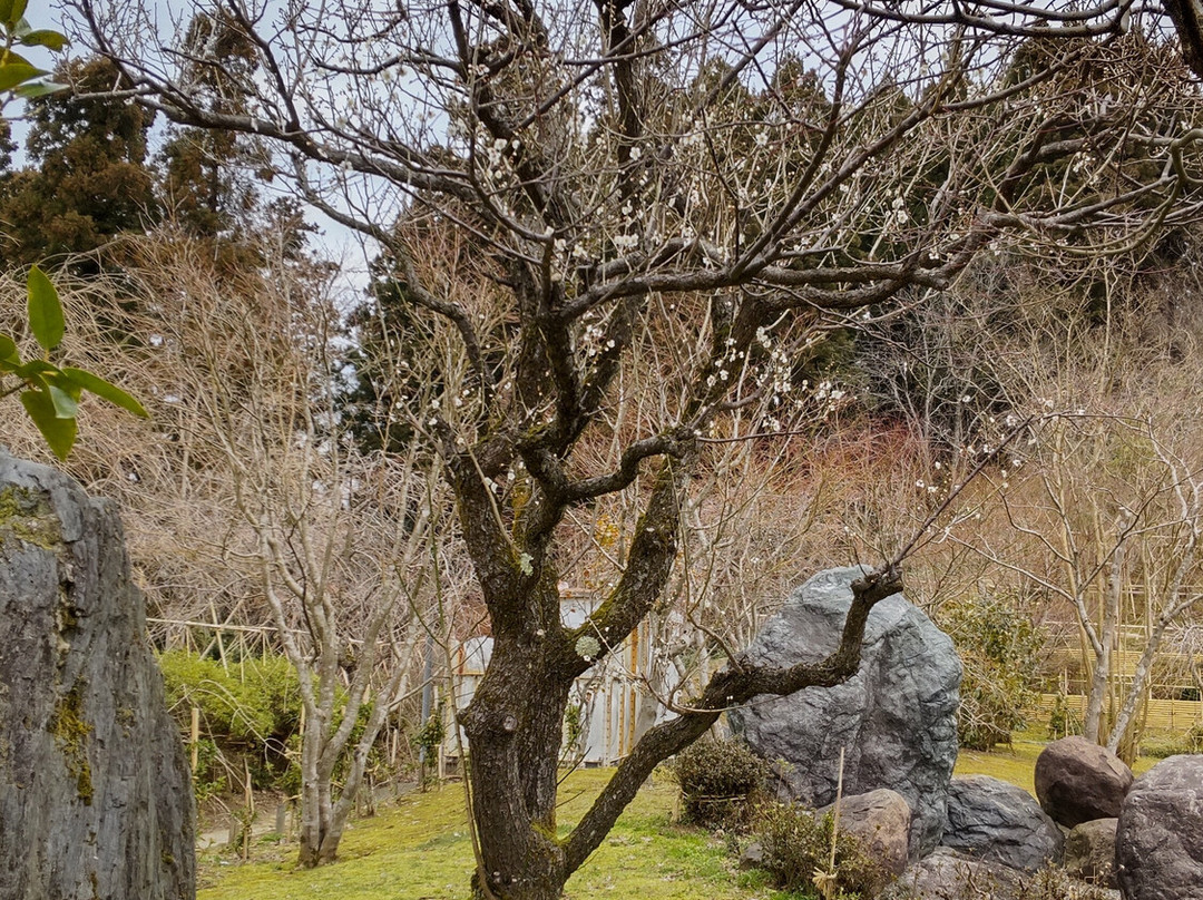 Hootono景点图片