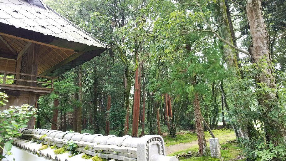 Fusaiji Temple-南丹市必去景点
