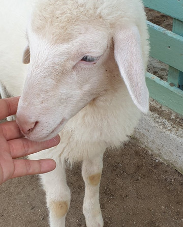 Aves World Broga-Semenyih必去景点