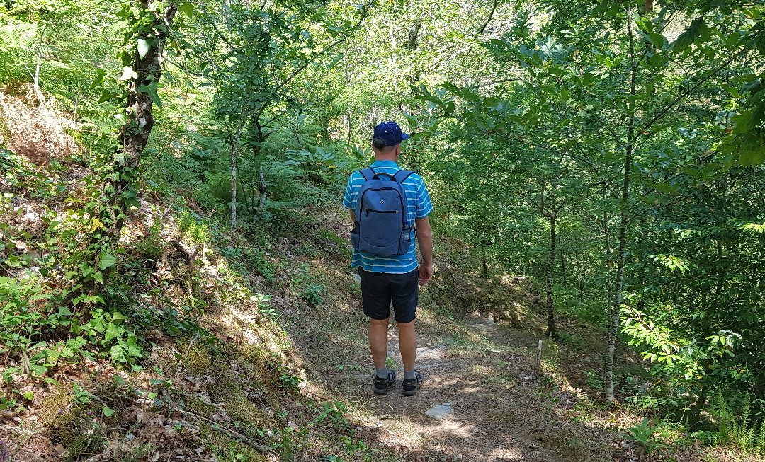 Mata da Margaraça-Arganil必去景点