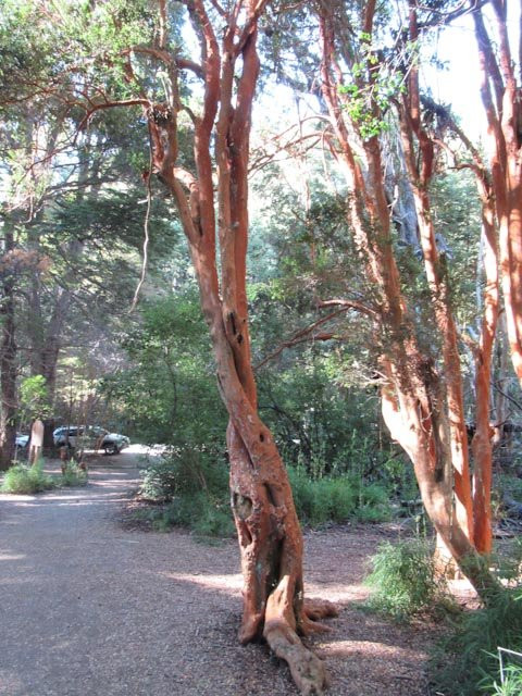 Circuito Chico-圣卡洛斯-德巴里洛切必去景点