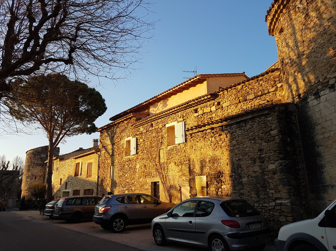 Marche Aux Truffes景点图片