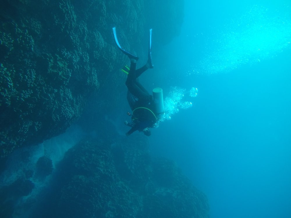 Mike Rapu Diving Center景点图片