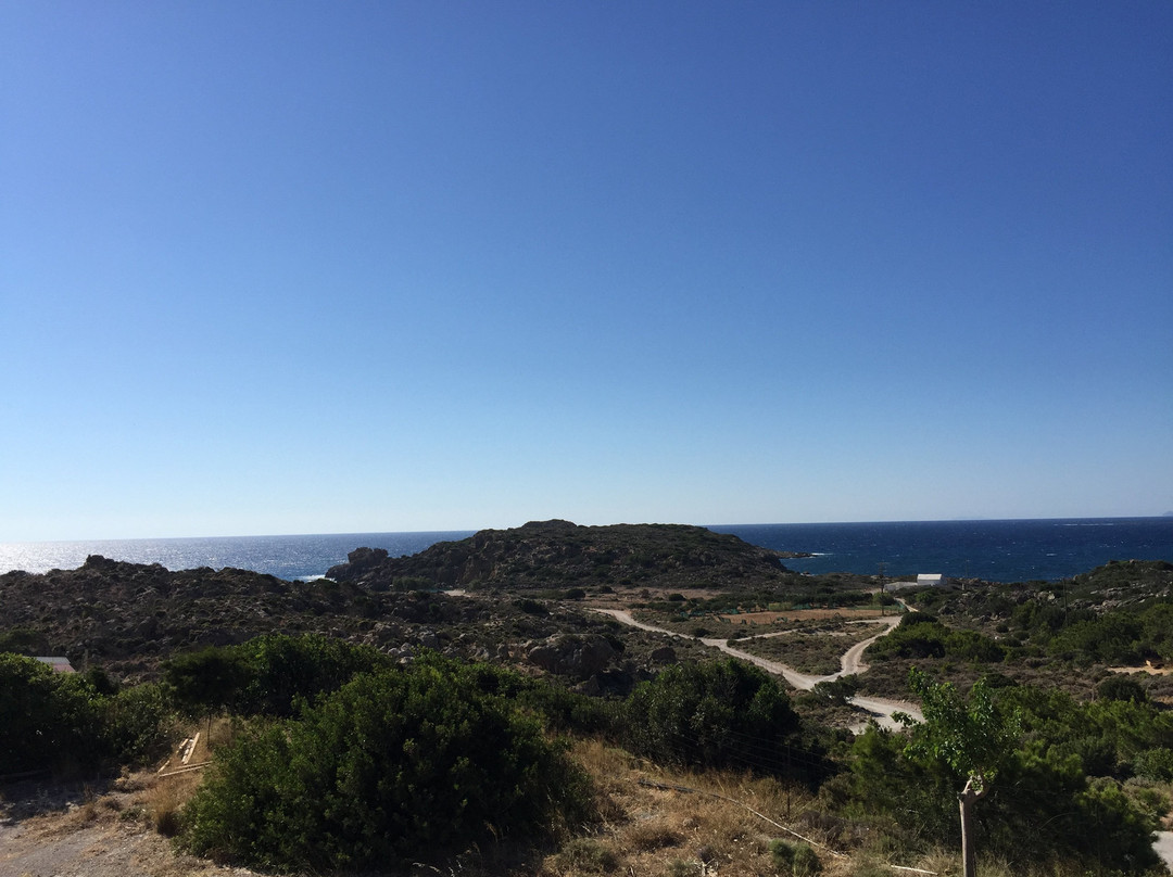 Panorama