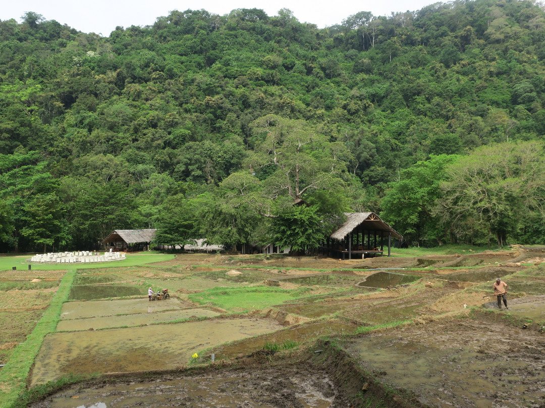 克里奥艾拉度假村主图