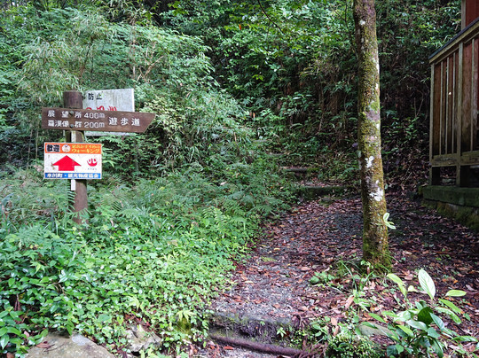 Hinokuni Bridge-冰川町必去景点