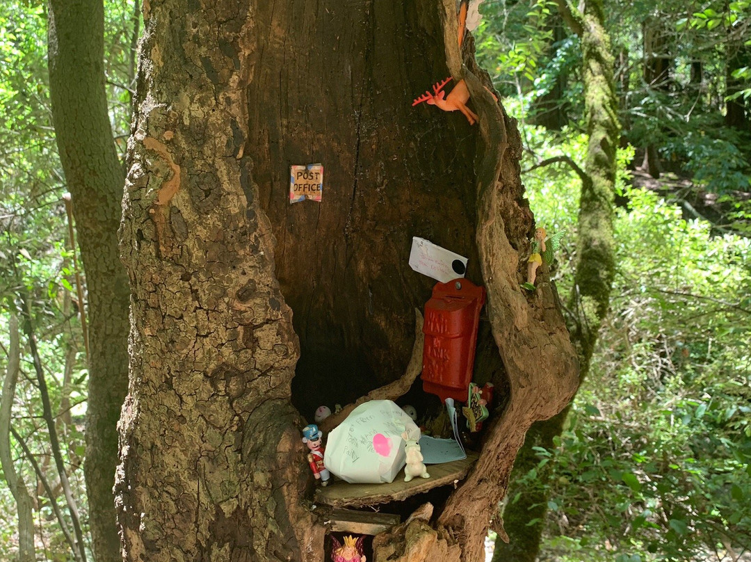 提尔顿国家公园-伯克利必去景点